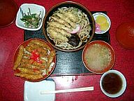 �킩����������